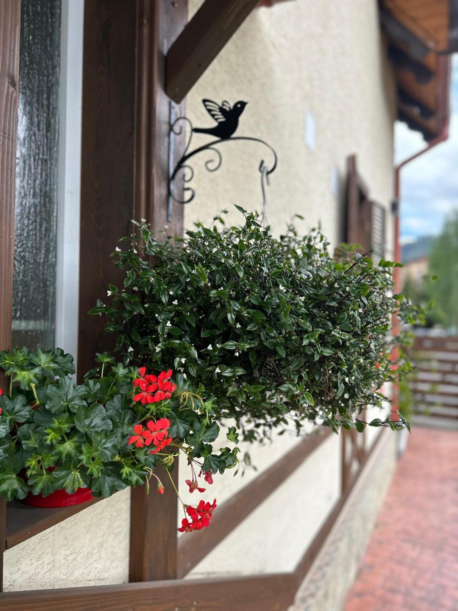 Residence Rooms Bucovina Câmpulung Moldovenesc Exterior photo